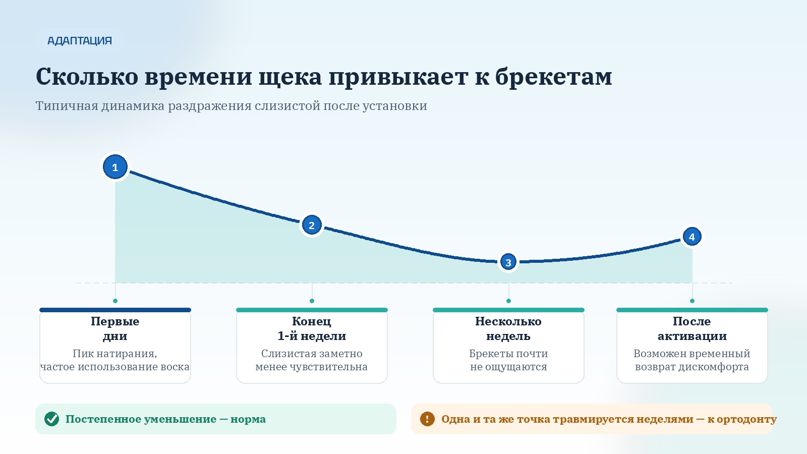 Сколько времени щека привыкает к брекетам
